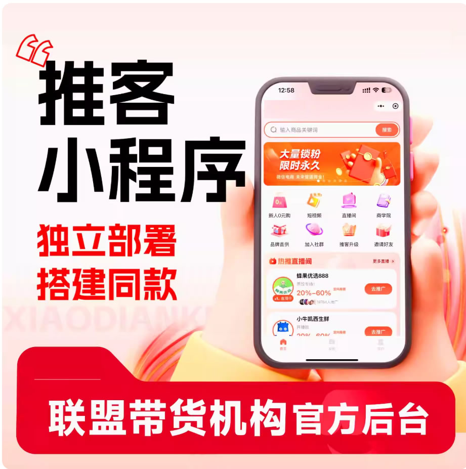 微信推客,联盟带货机构